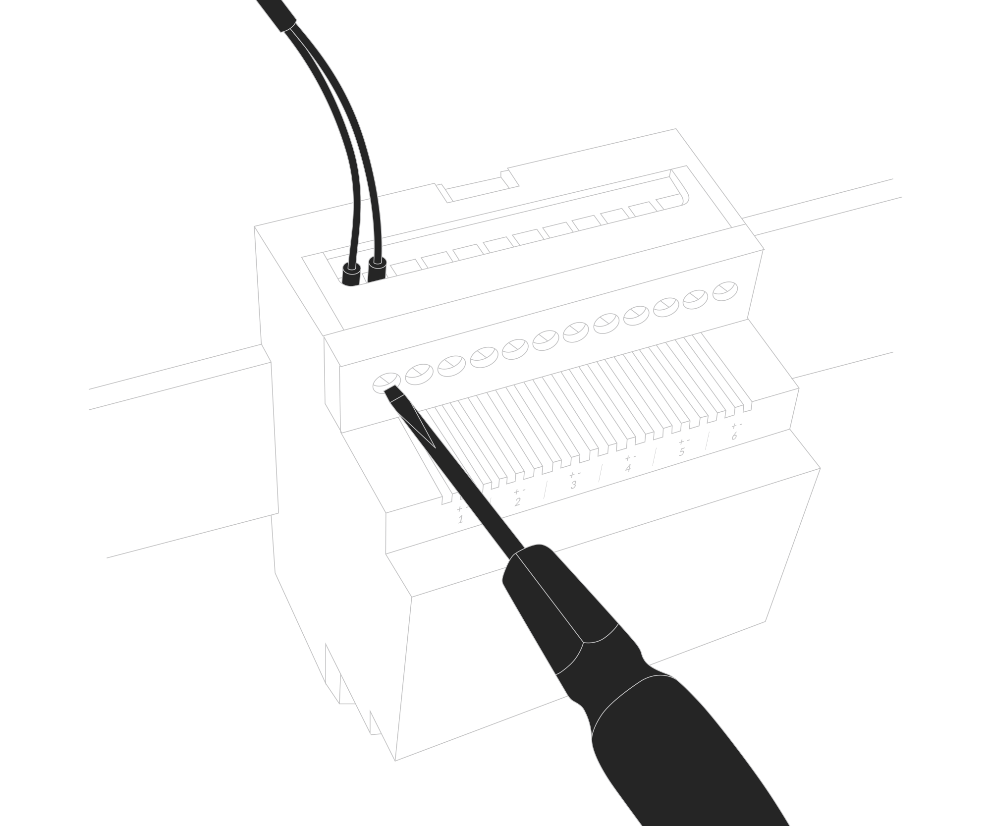 Connect the inputs to the individual channels of the device