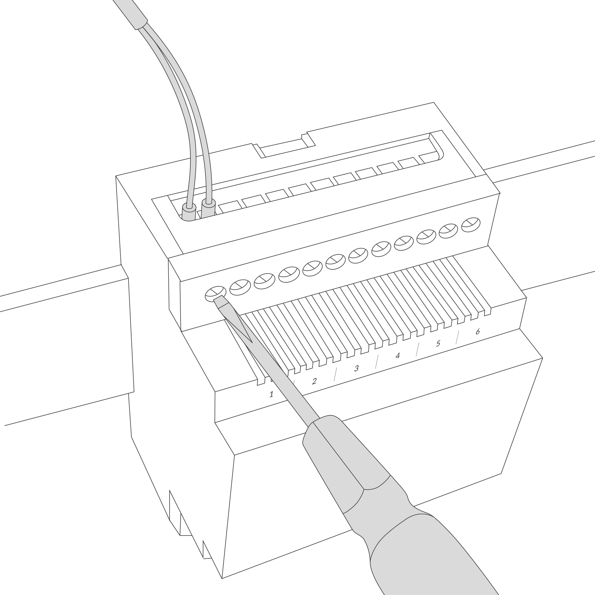 Connect the inputs to the individual channels of the device